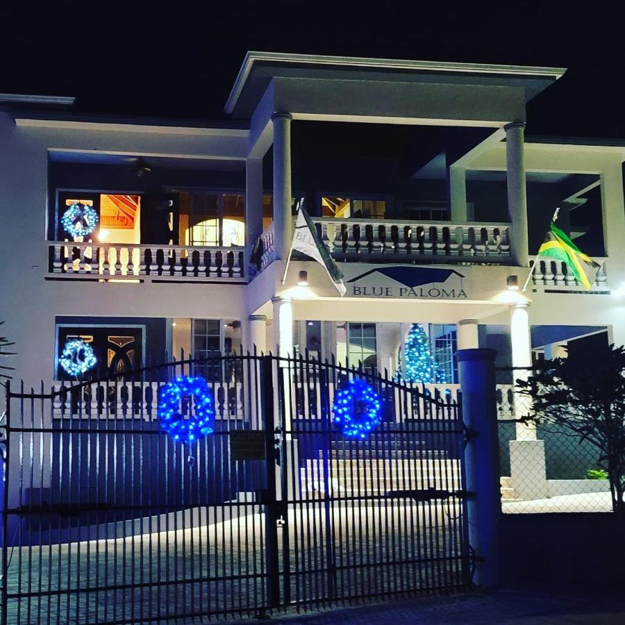 לוסאה Blue Paloma Bed & Breakfast מראה חיצוני תמונה