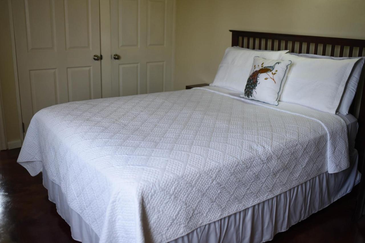 לוסאה Blue Paloma Bed & Breakfast מראה חיצוני תמונה